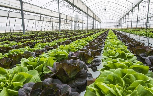 1646895676265783.jpg 6bf6bf1a5313048667f445e5cfdea3dd_8794665_131754072998_2.jpg