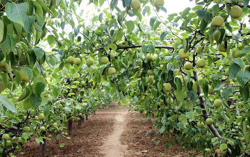 1646897200211569.jpg 28ef3472adc0b56254e74e734f5af01a_1023714_182150802000_2.jpg