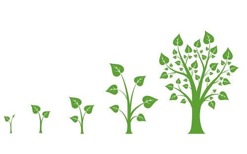 1647437491452469.png image.png