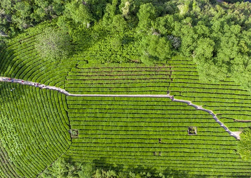 1648192951127550.jpg 9d8a22de5febf7e161b348d3d5d5f79c_8037935_124513109108_2.jpg