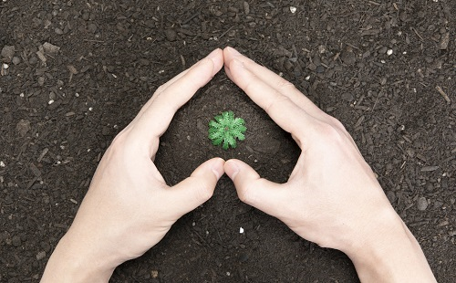 1650598724158874.png image.png