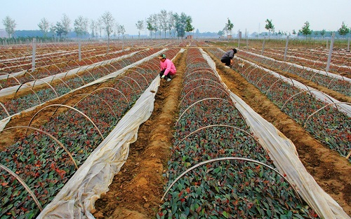 1651903616287693.png image.png