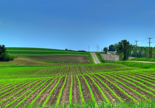 1652679528165814.png image.png