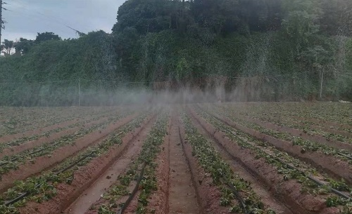 1653016345914213.png image.png