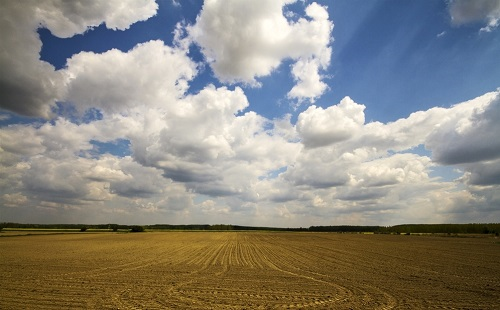 1654141045127221.png image.png