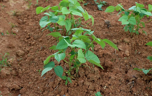 1655954353106337.png image.png