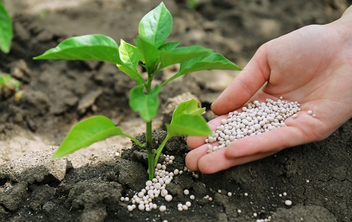 1660706151203759.png image.png