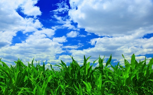 1663644408146997.png image.png