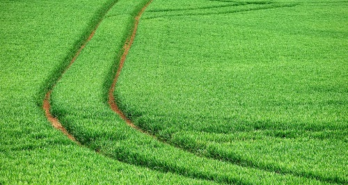 1664171847146094.png image.png