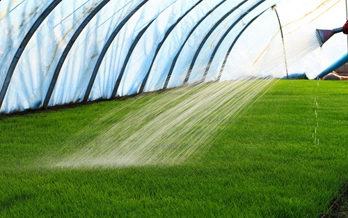 1664260563188626.png image.png