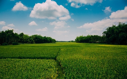 1664431723124015.png image.png