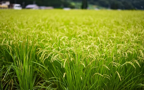 1665208562537389.png image.png