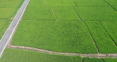 1665632218105786.png image.png