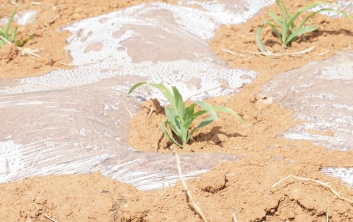 1669616706146187.png image.png