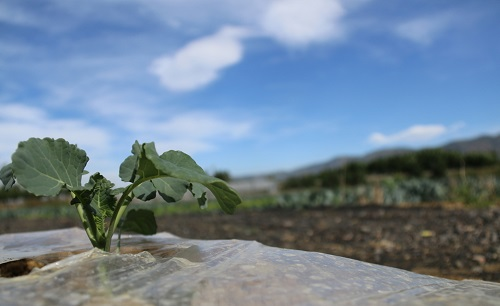 1670916910275041.png image.png