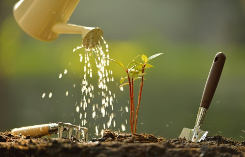 1677220022394404.png image.png