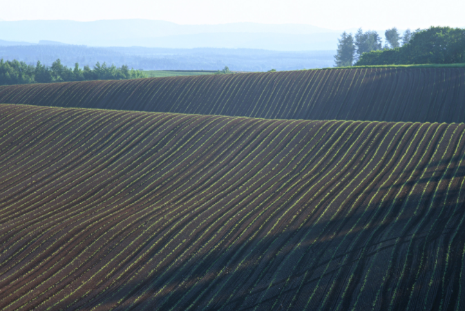 為什么使用土壤重金屬檢測儀？