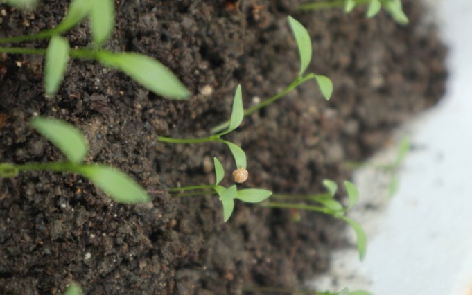 1681110207188614.png 1681110207188614.png