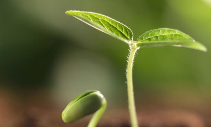 1682303242133086.png 土肥儀